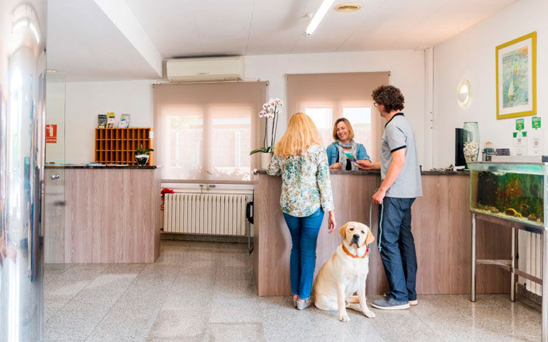 Alojamiento pet friendly en Palam&oacute;s