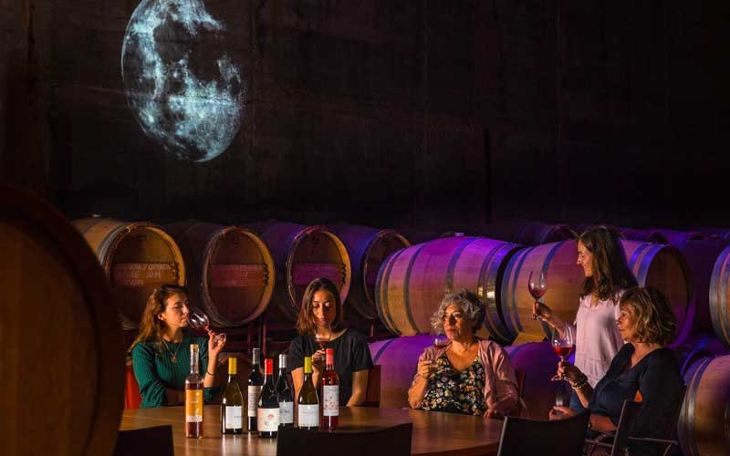 Experiencias de enoturismo en la Ruta del vino DO Empord&agrave; en la Costa Brava