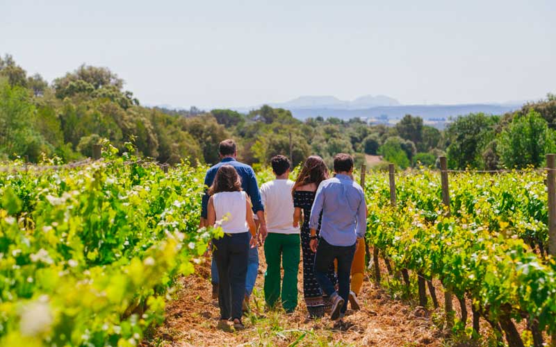 Bodegas del Baix Empord&agrave; en la Ruta del vino DO Empord&agrave;