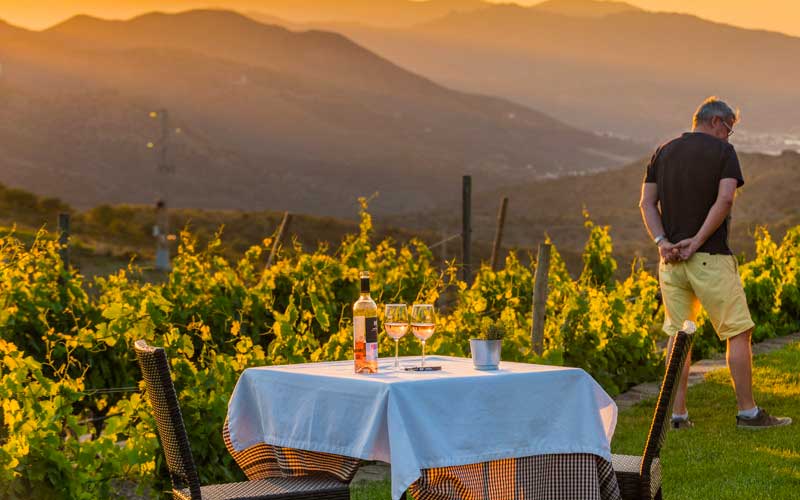 Enoturismo en la Ruta del vino DO Empord&agrave; entre vi&ntilde;edos y bodegas