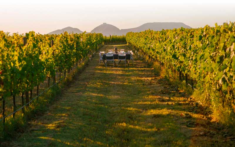 Festival V&iacute;vid, evento de enoturismo en el Empord&agrave;