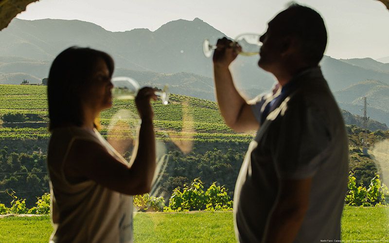 Cata de vinos Alt EmpordÃ 