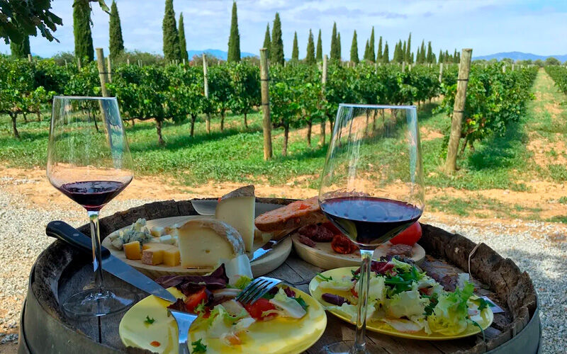 Cata de vino en Celler La Vinyeta, Alt EmpordÃ 