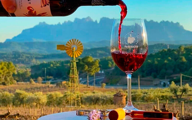 Bodega DO Pla de Bages: Collbaix â€“ Celler el MolÃ­