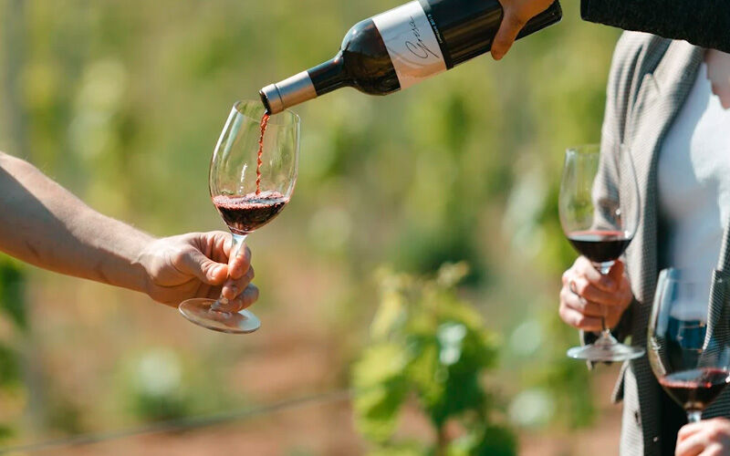 Catas de vino en Vinyes d'Olivardotsâ€‹, Bib Gourmand