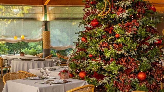 Escapades et packs pour Noël et Fin d'An